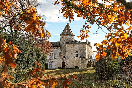 The Cayla Chateau-Museum