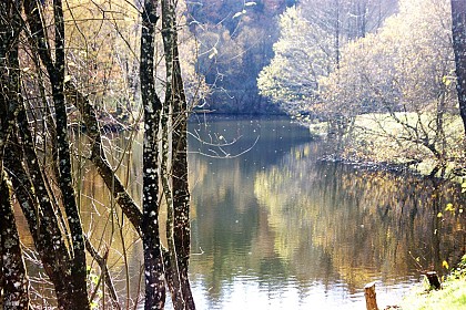 Lac de la Broussonnié