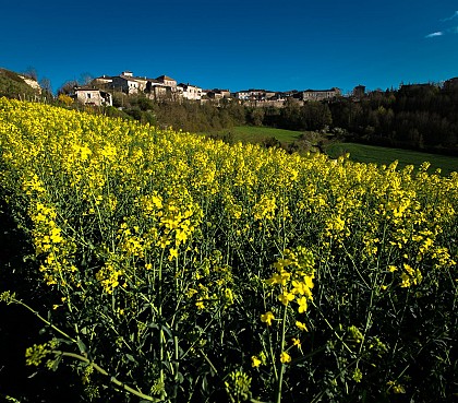 Tablette d'interprétation La citadelle de Castelnau