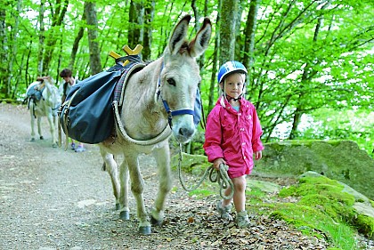 Ferme pédagogique Les Ânes de Vassivière