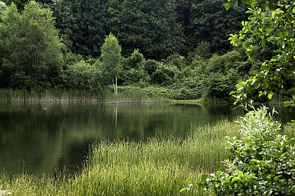 Le val du Flot