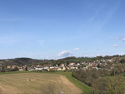 Vue d'ensemble sur Mareil en Champagne