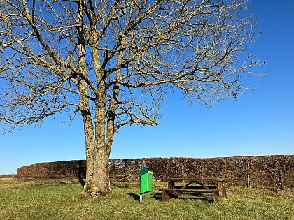 Picnic area - Chemin du Corps de garde