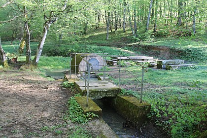 Site du Tir à l'Oiseau