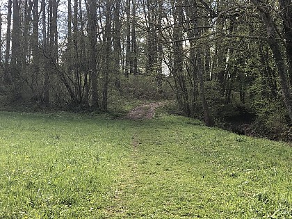 Sentier et espace boisé