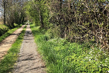 A travers champs et bois