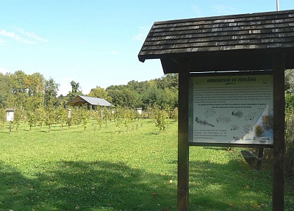 Arboretum de Voulème