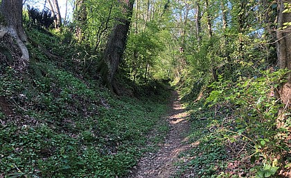 Sentier de POILLE SUR VEGRE