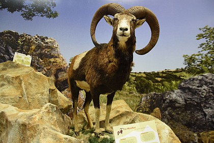 Espace biodiversité