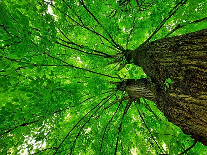 église Saint Michel