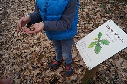 Panneaux pédagogiques