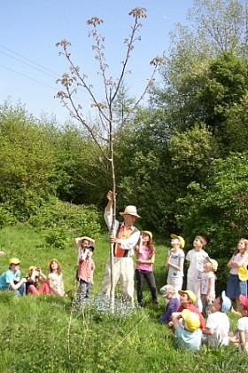 Le jardin des petits écoliers