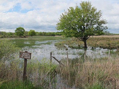 Réserve Naturelle Nationale de Chérine