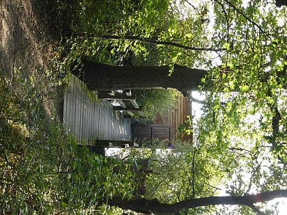 Observatoire de l'étang Massé (Réserve naturelle régionale Terres et étangs de Brenne Massé-Foucault)