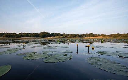 Observatoire de l'Etang Neuf (Domaine du Plessis)