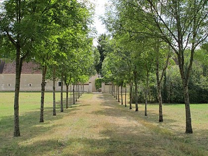 Le vallon de la Prée