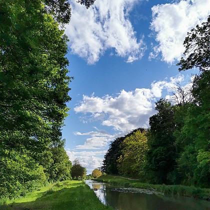 Le canal de Berry