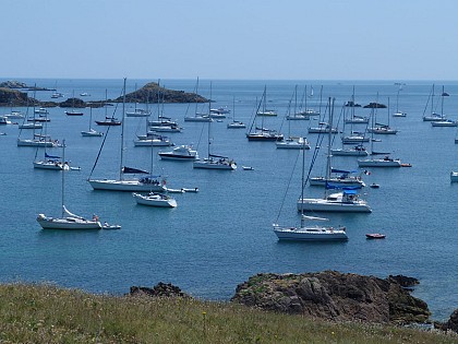 Côte Sud, Côte Sauvage