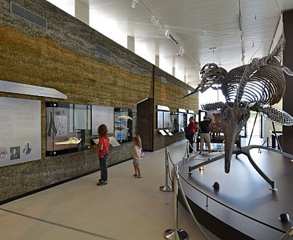 Paleospace de Villers-sur-Mer