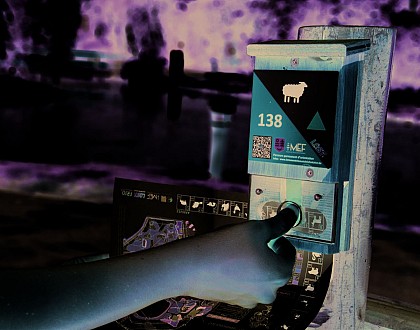 Parcours d'orientation au Bois des Rêves