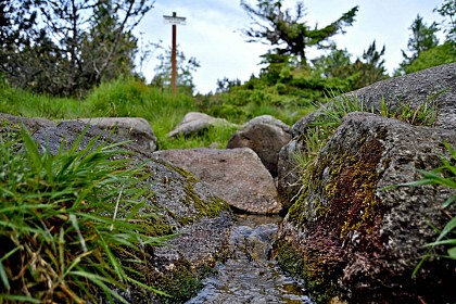 La source du Lac Noir