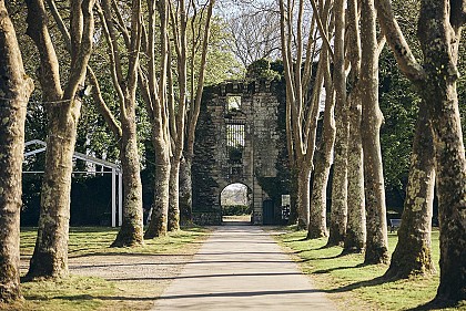 Le château primitif