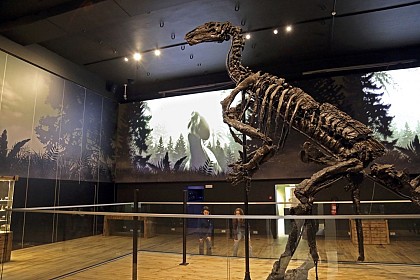 Iguanodon museum