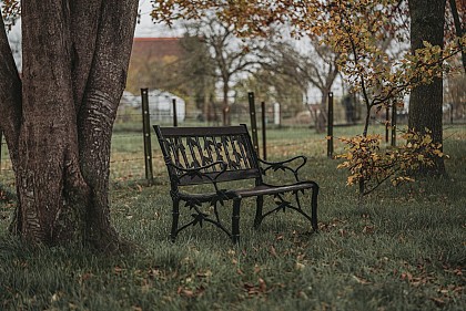 Ferme des Monceaux : La Laiterie