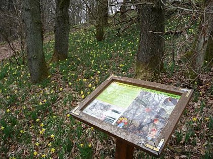 Nature trail Mausheck (1.1 km)