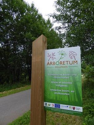 Arboretum-buellingen