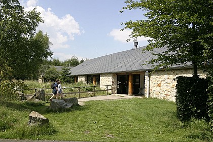 Parc Naturel Hautes Fagnes Eifel - Promenades en char à bancs