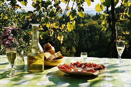 Rabastens picnic area