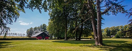 Le Saint-André des arts