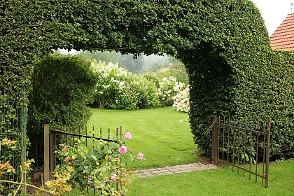 Le jardin des hayures