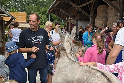 Gîte La Ferme du Coq aux Ânes
