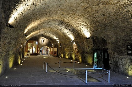Fortified Castle of Bouillon