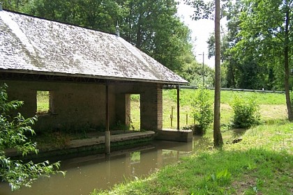 Baracé