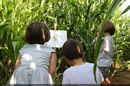 Labyrinthe de Maïs Montmédy