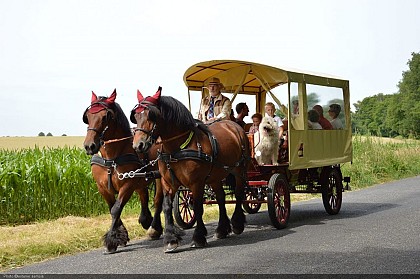 Les Voituriers de la Semois in Florenville