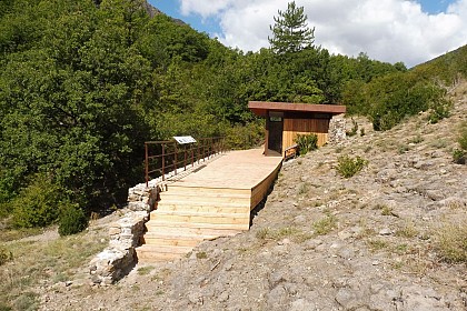 L'Ichtyosaure de La Robine