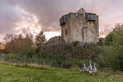 DOMAINE DE LA FERTÉ CLAIRBOIS