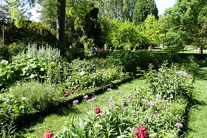 Jardin des Plantes
