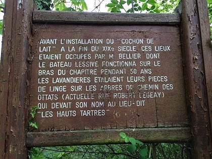 Île Sainte-Catherine