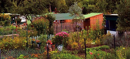 Jardins ouvriers ou familiaux