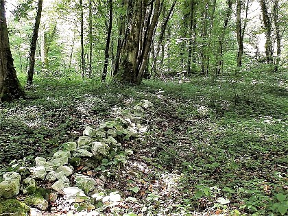Vestiges Gallo-romain