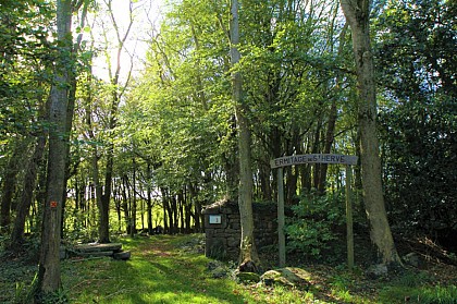 Circuit VTT Iroise N°16 - OFFICIEL