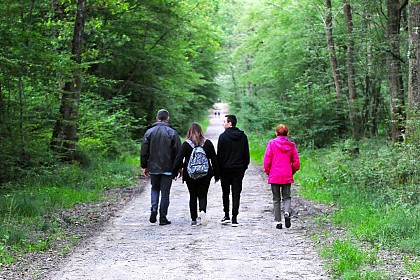 Forêt de Montpensier