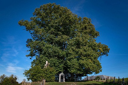 La chapelle Saint-Anne et son environnement