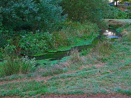 La vallée de la Horn