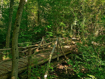 Pelouses et rochers du Pays de Sierck